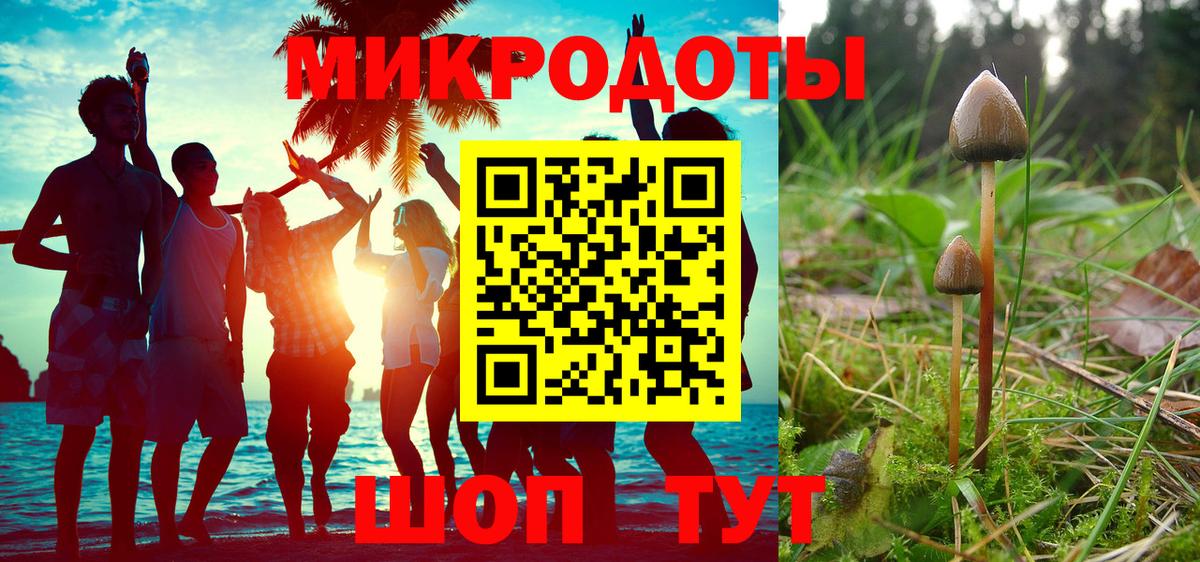 Галлюциногенные грибы прущие грибы Чита