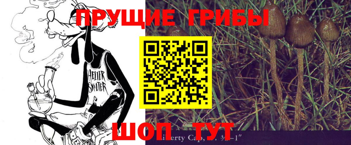 Галлюциногенные грибы Psilocybe  Вход с VPN  Чита 