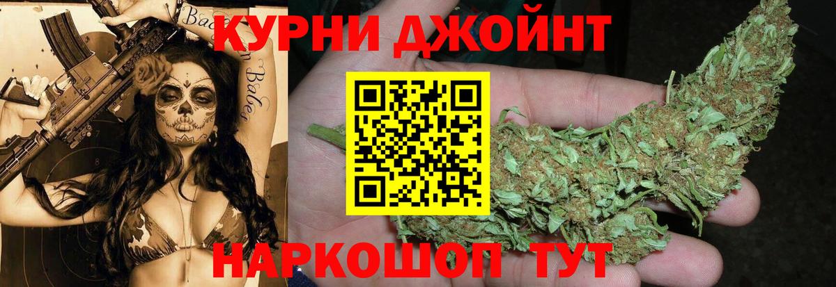 Бошки Шишки MAZAR Чита